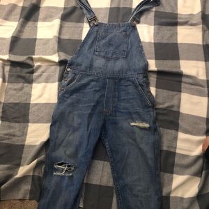 Hudson overalls
